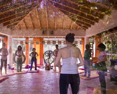 Yoga and Wellness Retreat with Richard Brook