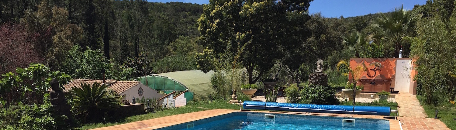 Creative Yoga and Wellness Retreats with Richard Brook